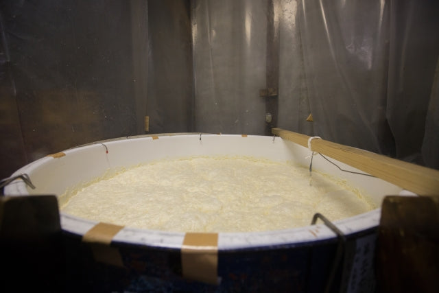 Sake Brewing process